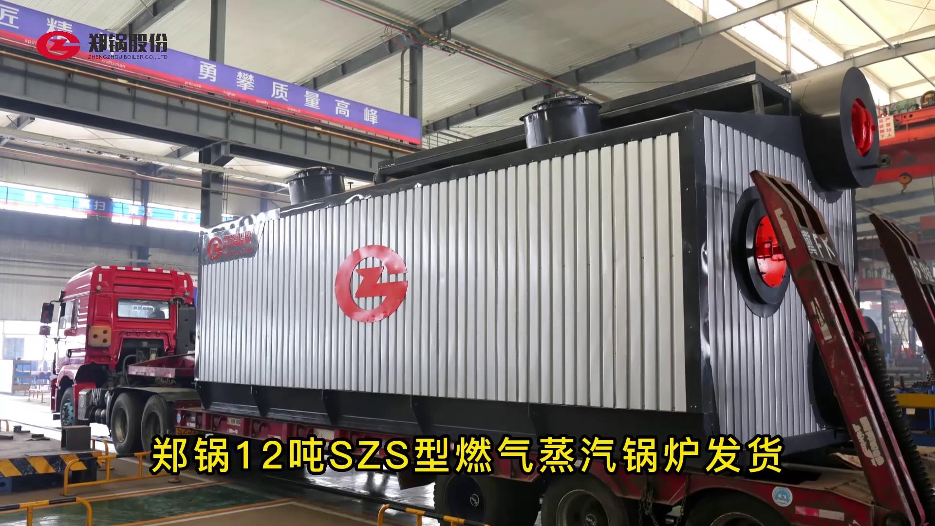 德赢VWIN12吨燃气锅炉发货