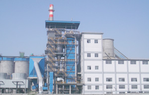 热烈祝贺德赢VWIN中标大吨位高温高压电站锅炉项目