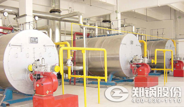 食物厂蒸汽锅炉