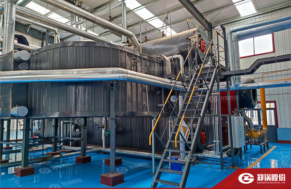 降耗“实招”！德赢VWIN燃气锅炉助力化工企业能效提升