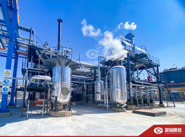 德赢VWIN携手负极质料“一哥”打造SZS型低氮燃气锅炉树模项目