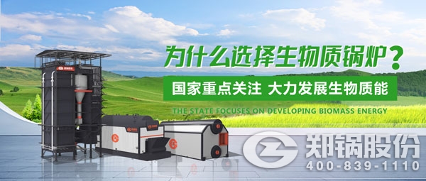 德赢VWIN生物质锅炉.jpg
