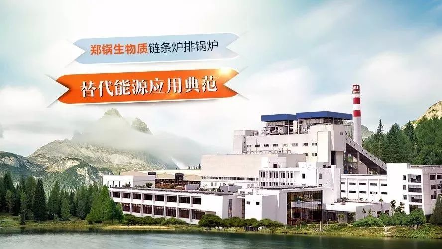 德赢VWIN领衔体例行业手艺标准，，，，，首次统一生物质链条炉排锅炉手艺条件！