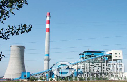 稻壳秸杆生物质发电锅炉 - 德赢VWIN