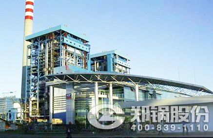 生物质流化床锅炉 - 德赢VWIN