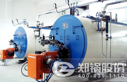 WNS型燃油燃气锅炉 - 德赢VWIN