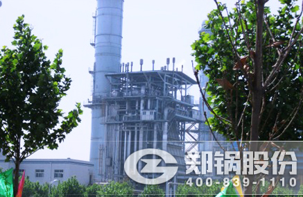 燃油燃气电站锅炉 - 德赢VWIN