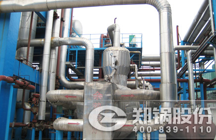 碳素窑余热锅炉 - 德赢VWIN