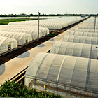 德赢·(VWIN)官方网站-AC米兰官方相助同伴