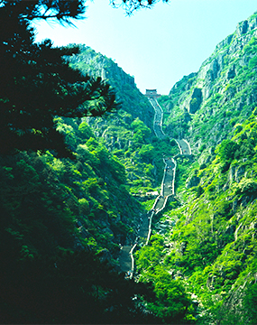 德赢·(VWIN)官方网站-AC米兰官方相助同伴