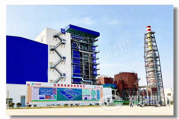 温室工业生物质锅炉蒸汽价钱