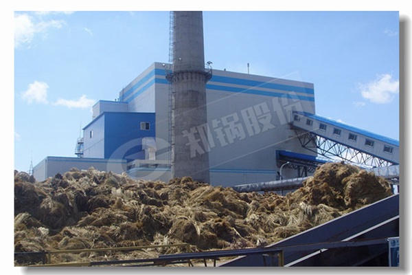 往复式炉排锅炉哪款好？？？？？？