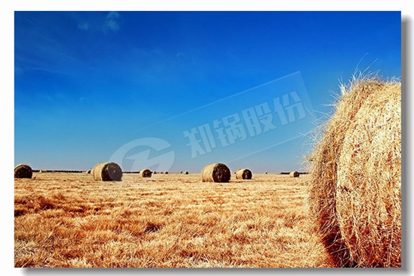 厂家信誉好的热水锅炉品牌找哪家？？？？？？？