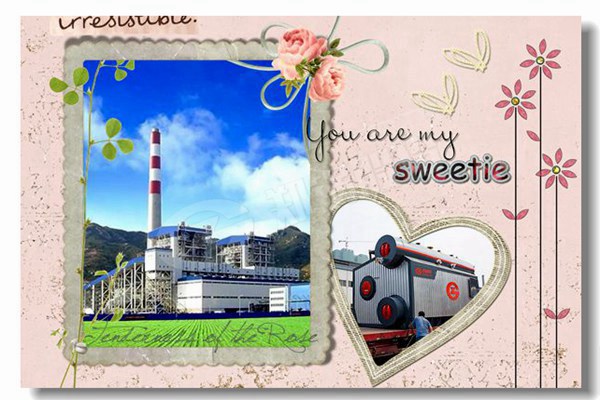 通辽全自动燃气锅炉哪家好？？？？？？？