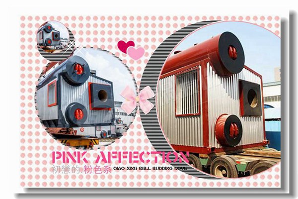 燃煤蒸汽锅炉停炉有哪些注重事项？？？？？？？？