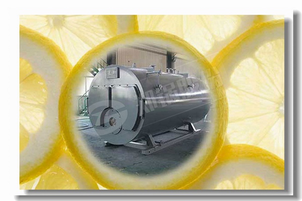 蒸汽锅炉烧烟煤与无烟煤较量有什么区别？？？？？