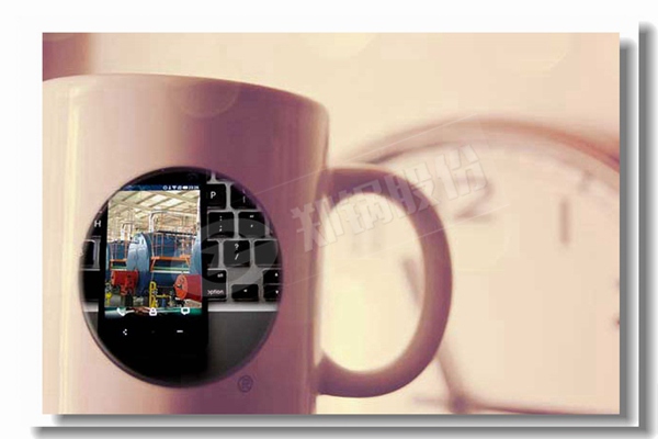 循环流化床锅炉内的燃烧区域有哪些？？？？？？？