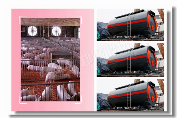 5000公斤燃油或自然气蒸汽锅炉