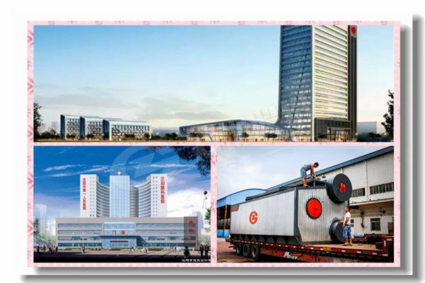 卧式工业取暖和油气锅炉