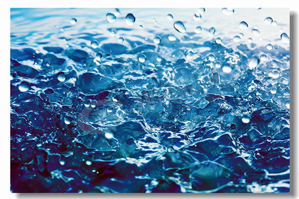 蒸汽锅炉和热水锅炉哪个贵？？？？？怎样准确选择？？？？？